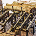 NIWA-Conveyor-Logging