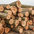 NIWA Raw Logs Logging